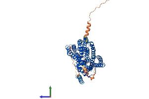 AlphaFold protein structure predicition of Mouse Recombinant Slc47a1 Protein, UniprotID Q8K0H1
