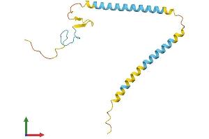 AlphaFold protein structure predicition of Mouse Recombinant Srek1ip1 Protein, UniprotID Q4V9W2