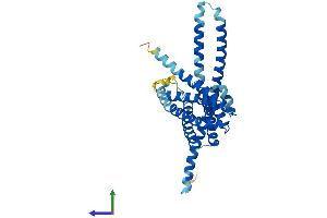 AlphaFold protein structure predicition of Human Recombinant TMEM120A Protein, UniprotID Q9BXJ8