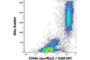 Flow cytometry surface staining pattern of human peripheral whole blood stained using anti-human CD66c (B6. (CEACAM6 anticorps)