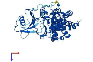 AlphaFold protein structure predicition of Mouse Recombinant Etnk1 Protein, UniprotID Q9D4V0