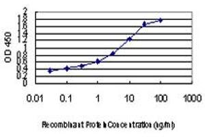 Detection limit for recombinant GST tagged PBK is approximately 0.