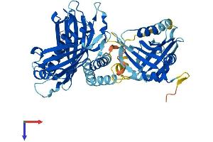 AlphaFold protein structure predicition of Mouse Recombinant Acot12 Protein, UniprotID Q9DBK0