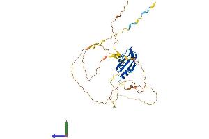 AlphaFold protein structure predicition of Human Recombinant RBFOX3 Protein, UniprotID A6NFN3