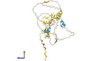 AlphaFold protein structure predicition of Human Recombinant SCRT1 Protein, UniprotID Q9BWW7