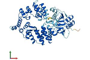 AlphaFold protein structure predicition of Mouse Recombinant RO60 Protein, UniprotID O08848