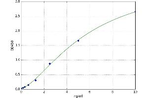 A typical standard curve (CREB1 Kit ELISA)