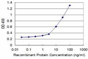 Detection limit for recombinant GST tagged ICOSLG is approximately 1ng/ml as a capture antibody.