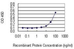 anti-Protein O-Fucosyltransferase 1 (POFUT1) (AA 85-194) antibody