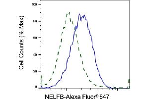 Validation of NELFB knockdown using flow cytometry.