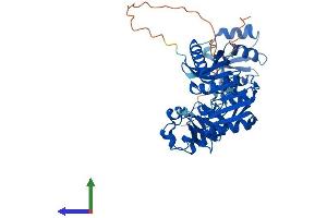 AlphaFold protein structure predicition of Mouse Recombinant Trmt12 Protein, UniprotID Q8BG71