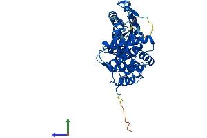 AlphaFold protein structure predicition of Mouse Recombinant Oas1a Protein, UniprotID P11928