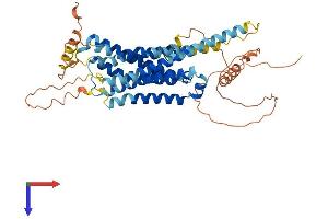 AlphaFold protein structure predicition of Mouse Recombinant Drd5 Protein, UniprotID Q8BLD9
