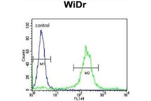 ADAM19 Antibody (Center) flow cytometric analysis of WiDr cells (right histogram) compared to a negative control cell (left histogram). (ADAM19 anticorps  (Middle Region))