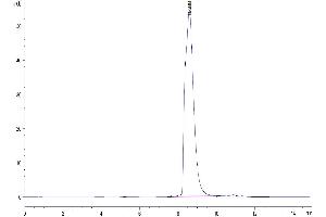 The purity of Biotinylated Human LAG3 is greater than 95 % as determined by SEC-HPLC.