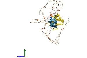 AlphaFold protein structure predicition of Human Recombinant PANX2 Protein, UniprotID Q96RD6