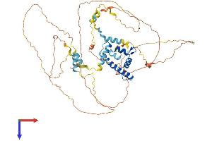 AlphaFold protein structure predicition of Human Recombinant CENPT Protein, UniprotID Q96BT3