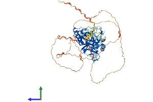 AlphaFold protein structure predicition of Mouse Recombinant Prickle3 Protein, UniprotID Q80VL3