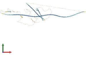 AlphaFold protein structure predicition of Human Recombinant SPAG5 Protein, UniprotID Q96R06