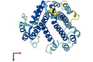 AlphaFold protein structure predicition of Human Recombinant ATP6V0D2 Protein, UniprotID Q8N8Y2