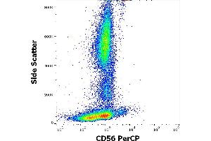 Flow cytometry surface staining pattern of human peripheral whole blood stained using anti-human CD56 (LT56) PerCP antibody (10 μL reagent / 100 μL of peripheral whole blood). (CD56 anticorps  (PerCP))