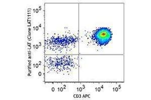 Flow Cytometry (FACS) image for anti-Linker For Activation of T Cells (LAT) antibody (ABIN2666080) (LAT anticorps)