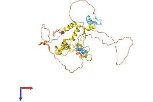 AlphaFold protein structure predicition of Human Recombinant SCRT1 Protein, UniprotID Q9BWW7