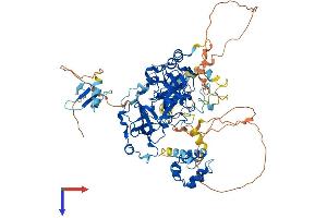 AlphaFold protein structure predicition of Human Recombinant L3MBTL3 Protein, UniprotID Q96JM7