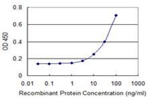 Detection limit for recombinant GST tagged GRINL1A is 1 ng/ml as a capture antibody. (POLR2M anticorps  (AA 269-368))