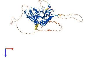 AlphaFold protein structure predicition of Mouse Recombinant Pip5k1a Protein, UniprotID P70182