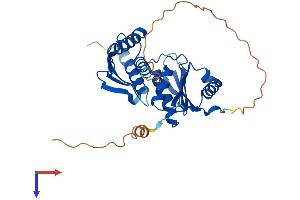 AlphaFold protein structure predicition of Human Recombinant IMPACT Protein, UniprotID Q9P2X3