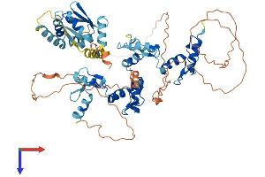 AlphaFold protein structure predicition of Human Recombinant MYNN Protein, UniprotID Q9NPC7