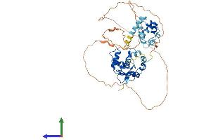 AlphaFold protein structure predicition of Human Recombinant ETS1 Protein, UniprotID P14921