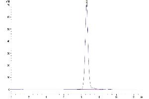The purity of Human HPX is greater than 95 % as determined by SEC-HPLC.