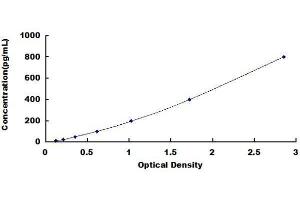 ELISA image for Oxidized Low Density Lipoprotein (Lectin-Like) Receptor 1 (OLR1) ELISA Kit (ABIN1571060) (OLR1 Kit ELISA)