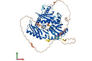 AlphaFold protein structure predicition of Mouse Recombinant Mon1b Protein, UniprotID Q8BMQ8