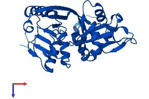 AlphaFold protein structure predicition of Human Recombinant GLYAT Protein, UniprotID Q6IB77
