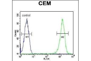 RCN3 Antibody (Center) (ABIN651973 and ABIN2840479) flow cytometric analysis of CEM cells (right histogram) compared to a negative control cell (left histogram). (RCN3 anticorps  (AA 134-163))