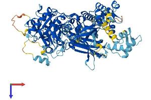AlphaFold protein structure predicition of Human Recombinant PLCD1 Protein, UniprotID P51178
