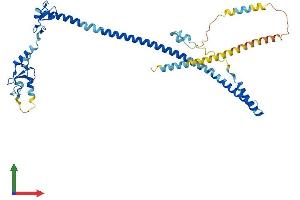 AlphaFold protein structure predicition of Mouse Recombinant Trim13 Protein, UniprotID Q9CYB0
