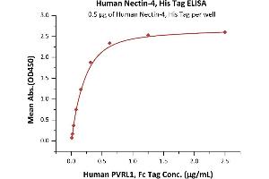 Immobilized Human Nectin-4, His Tag (ABIN6386454,ABIN6388277) at 5 μg/mL (100 μL/well) can bind Human PVRL1, Fc Tag with a linear range of 0.