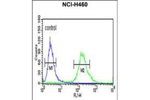 Flow cytometric analysis of NCI-H460 cells (right histogram) compared to a negative control cell (left histogram). (ALG14 anticorps  (AA 67-93))