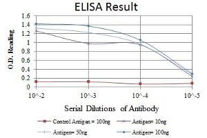 Red: Control Antigen (100 ng), Purple: Antigen (10 ng), Green: Antigen (50 ng), Blue: Antigen (100 ng),