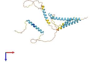 AlphaFold protein structure predicition of Mouse Recombinant Camlg Protein, UniprotID P49070