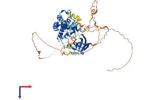 AlphaFold protein structure predicition of Mouse Recombinant Ripk3 Protein, UniprotID Q9QZL0