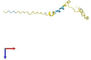 AlphaFold protein structure predicition of Human Recombinant HMGN4 Protein, UniprotID O00479