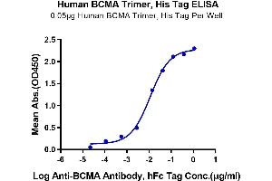 Immobilized Human BCMA Trimer at 0.