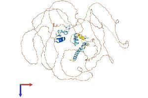 AlphaFold protein structure predicition of Human Recombinant CHAMP1 Protein, UniprotID Q96JM3