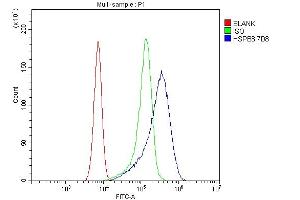 Flow Cytometry analysis of U20S cells using anti- HSPB8/Hsp22 antibody (ABIN7599067). (HSPB8 anticorps  (AA 1-196))