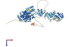 HERVK_113 (AA 1-956) protein (His tag)